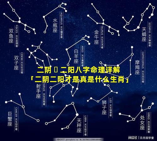 二阴 ☘ 二阳八字命理详解「二阴二阳才是真是什么生肖」